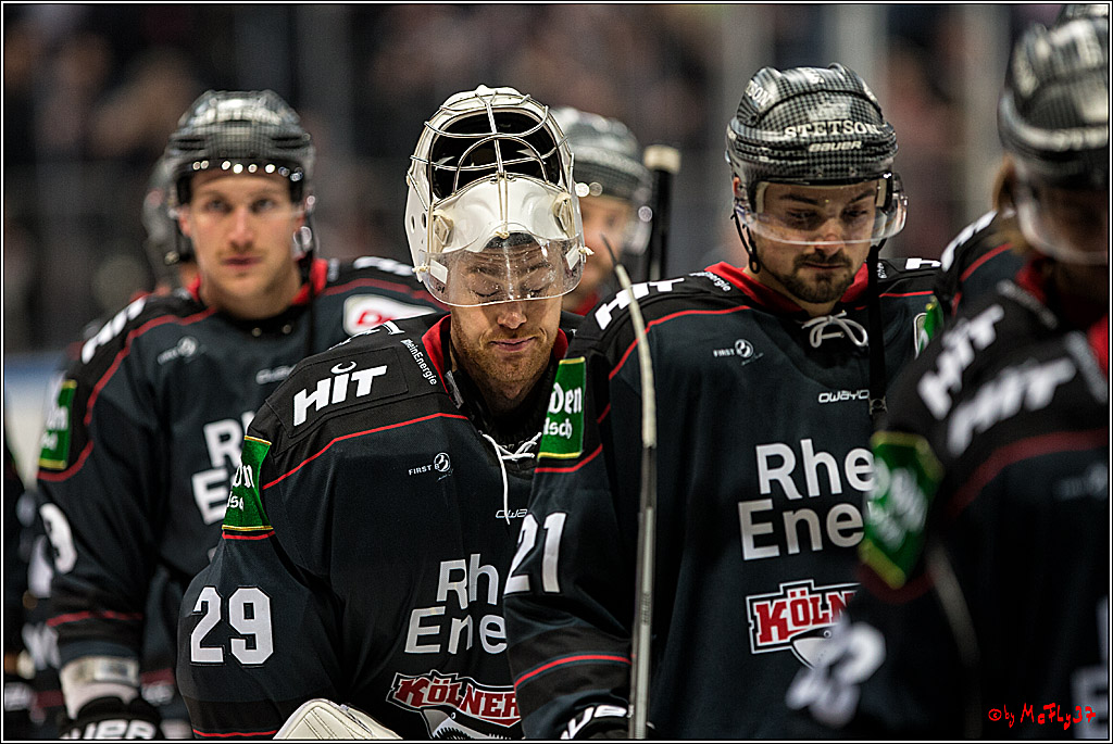 Koelner Haie - Eisbaeren Berlin, 13.11.2016